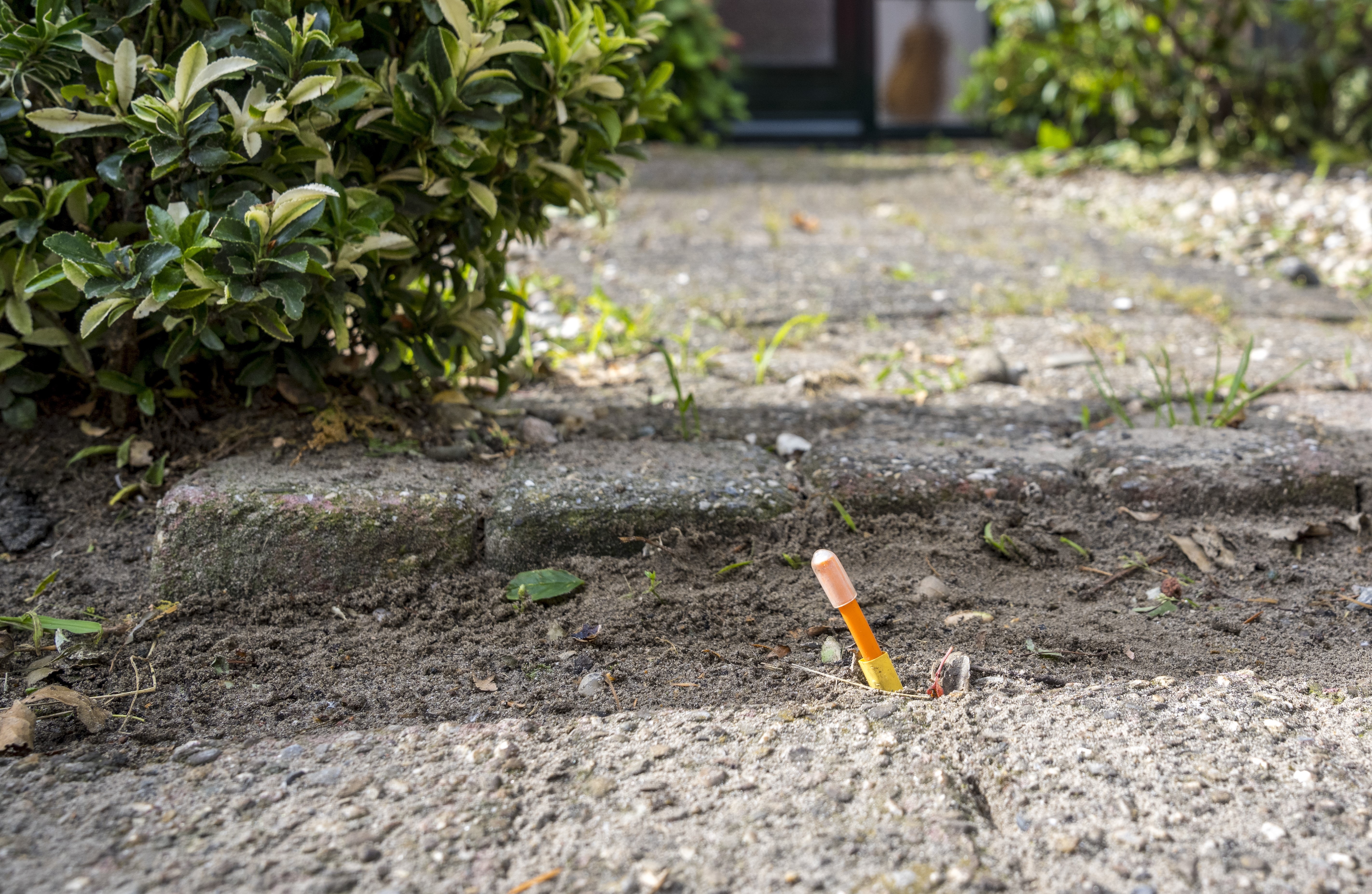 Oranje glasvezel sprietje uit de grond